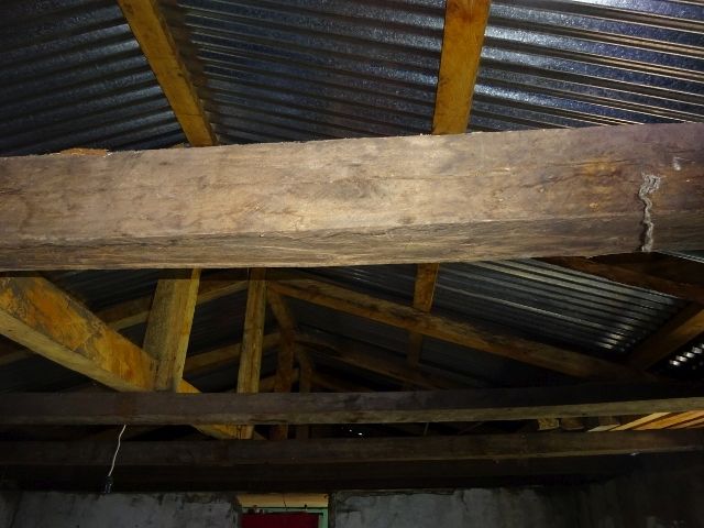 DSC02914 (640×480)