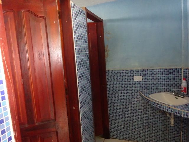 DSC02919 (640×480)