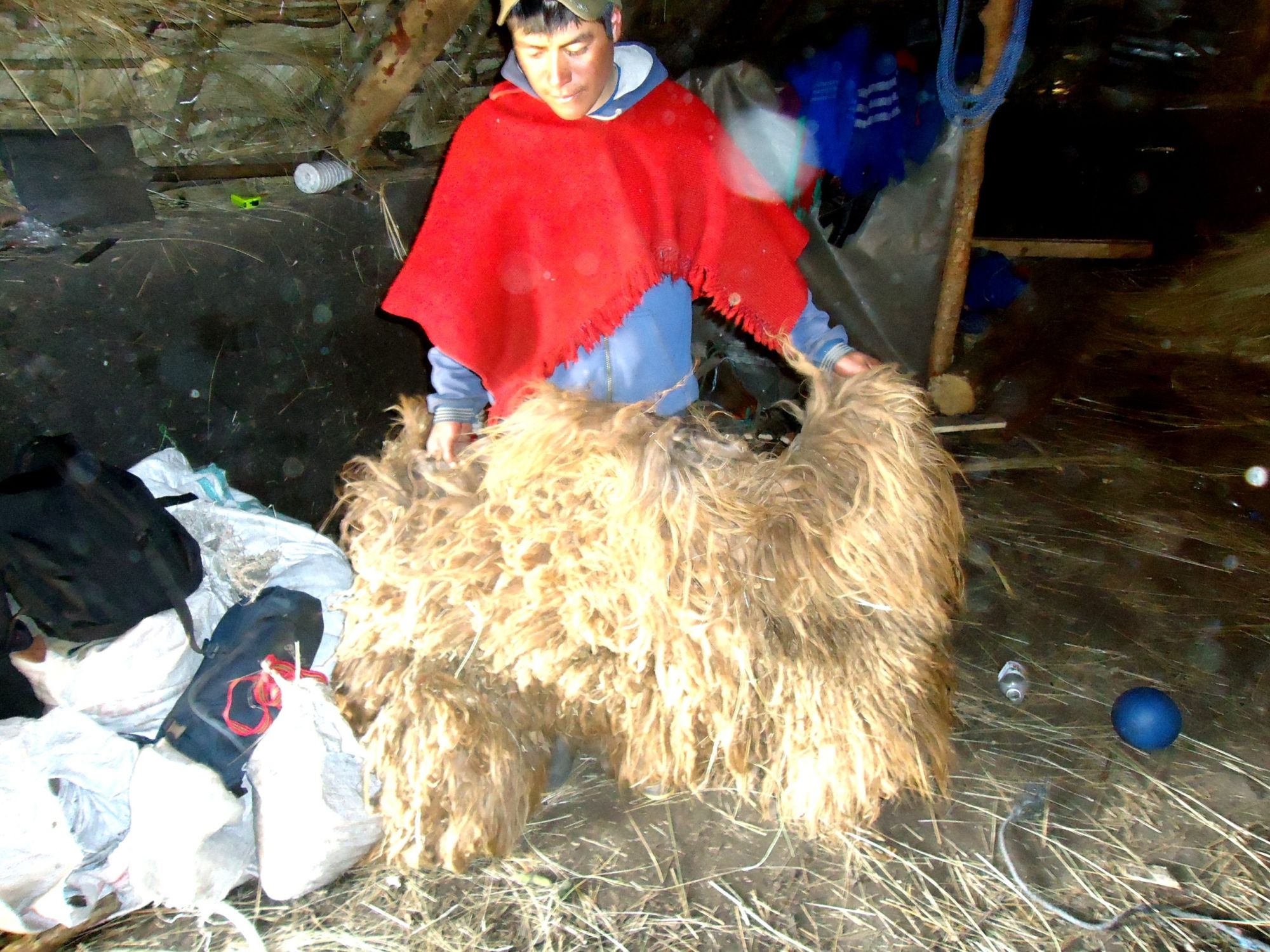 DSC03148