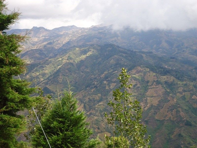 DSC03560