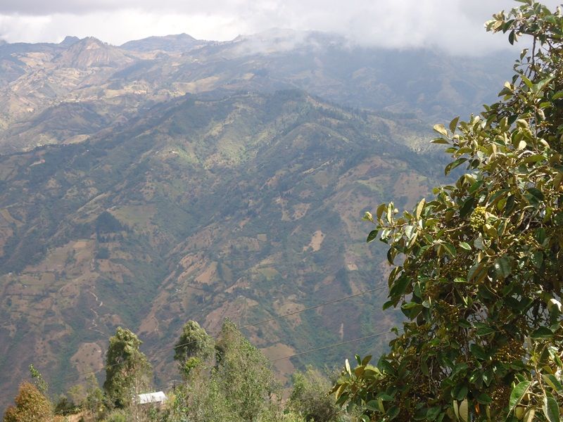 DSC03562