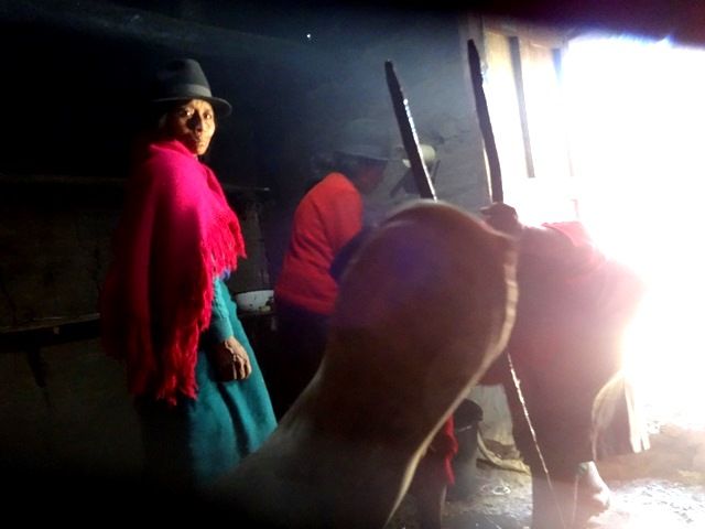 DSC03781