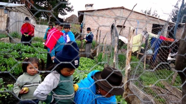 DSC04366 – copia (640×480)