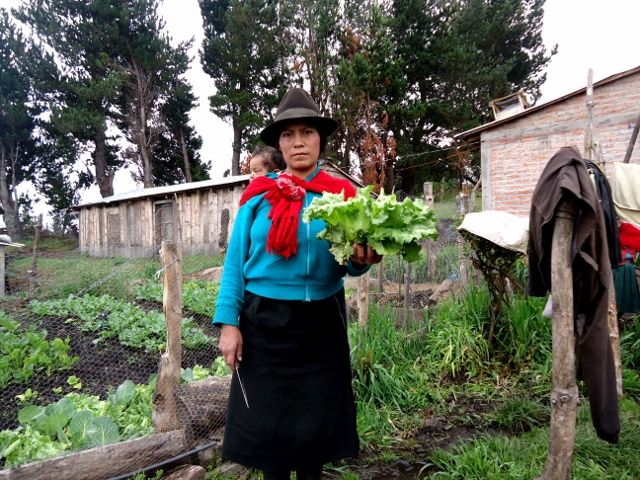 DSC04369 – copia (640×480)
