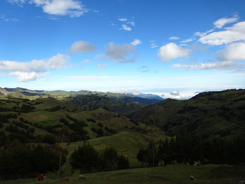 DSC05350_1024x768