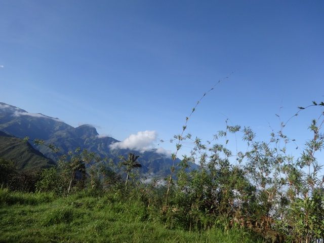 DSC06314