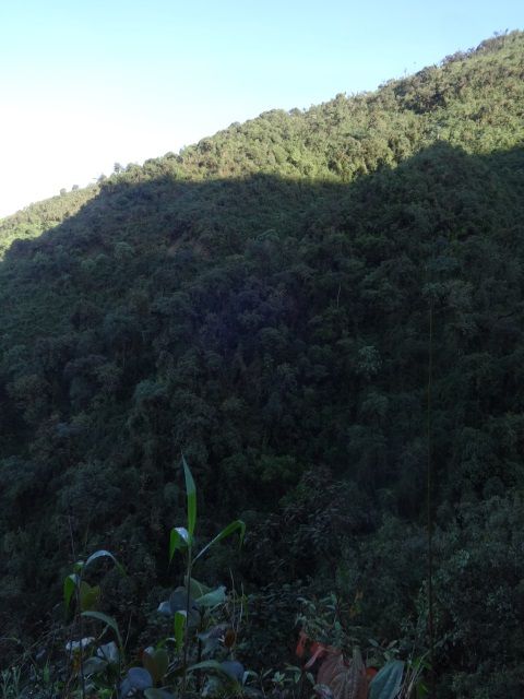 DSC06317