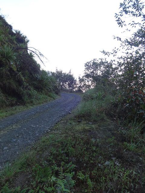 DSC06319