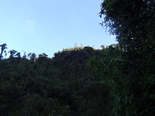 DSC06337