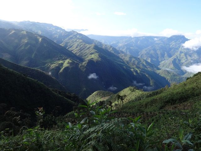 DSC06350