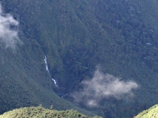 DSC06351