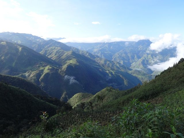 DSC06353