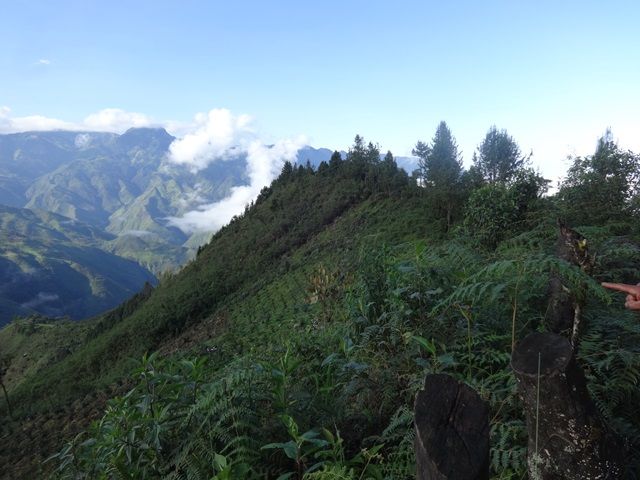 DSC06354