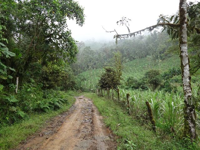 DSC06357