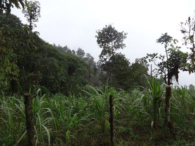 DSC06358