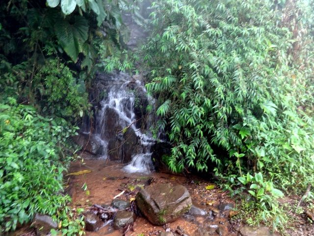DSC06372
