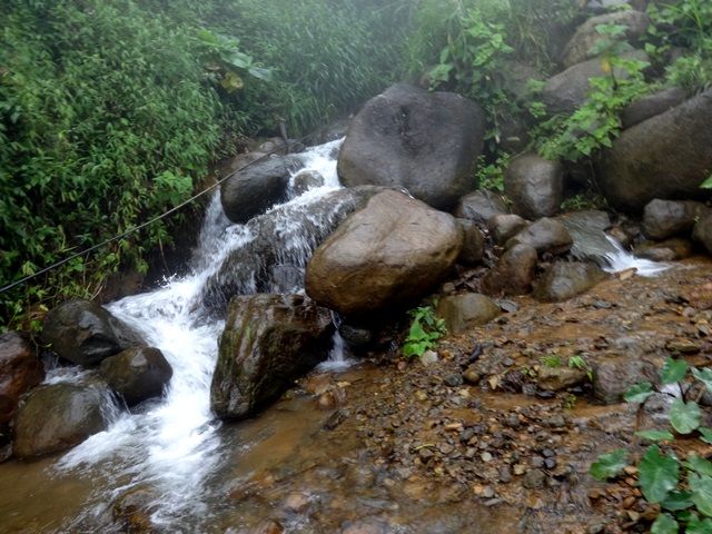 DSC06374