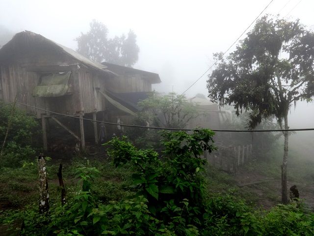DSC06377