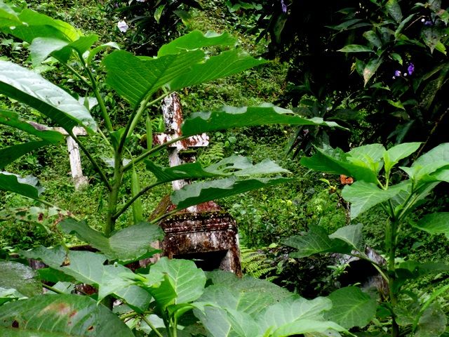 DSC06380