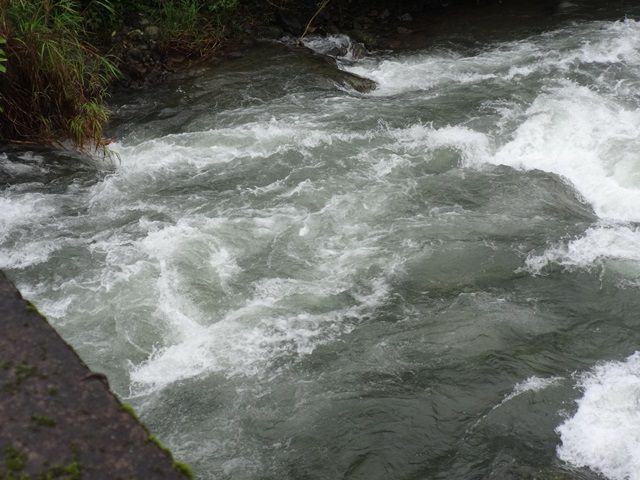 DSC06398