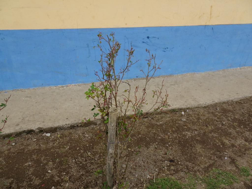 DSC06411_1024x768