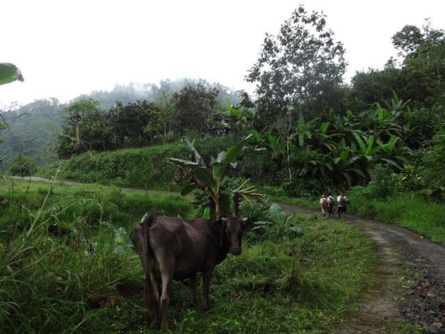 DSC06413
