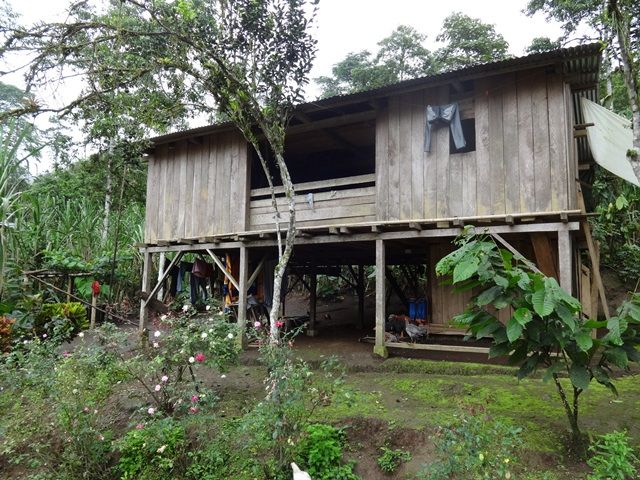 DSC06415