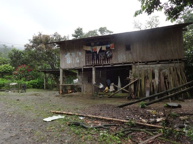 DSC06417