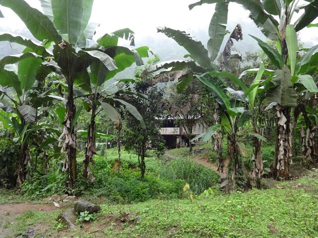 DSC06418