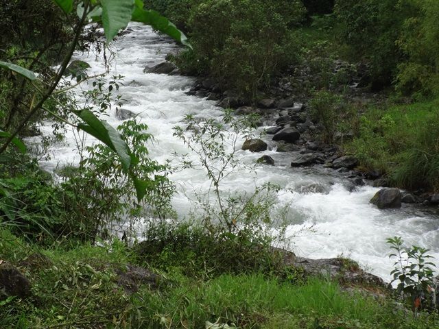 DSC06419