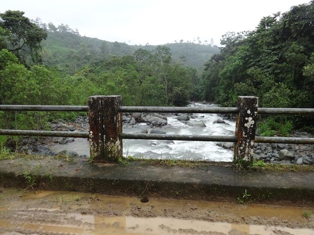 DSC06429