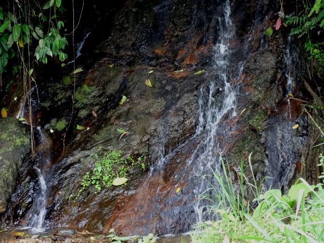 DSC06433