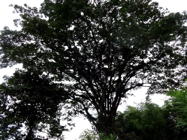 DSC06434