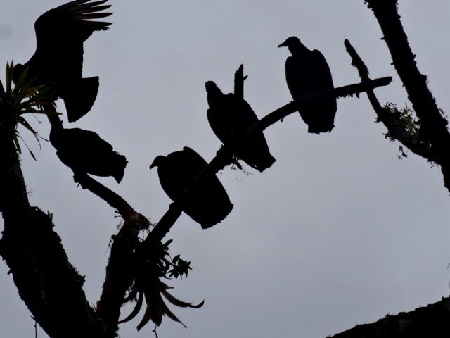 DSC06436