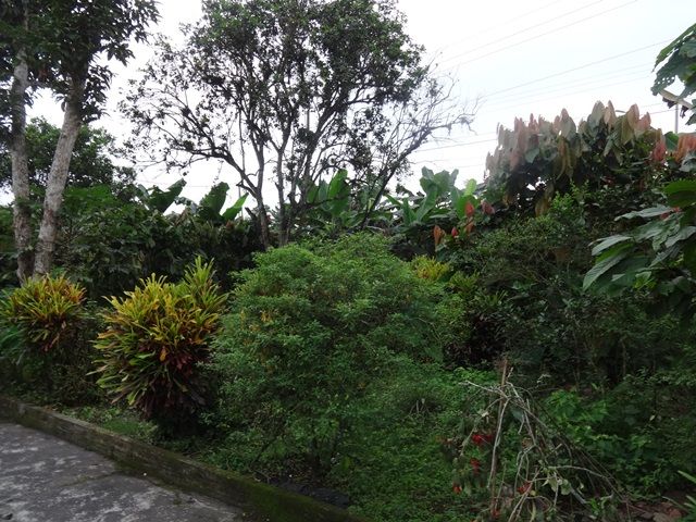 DSC06439