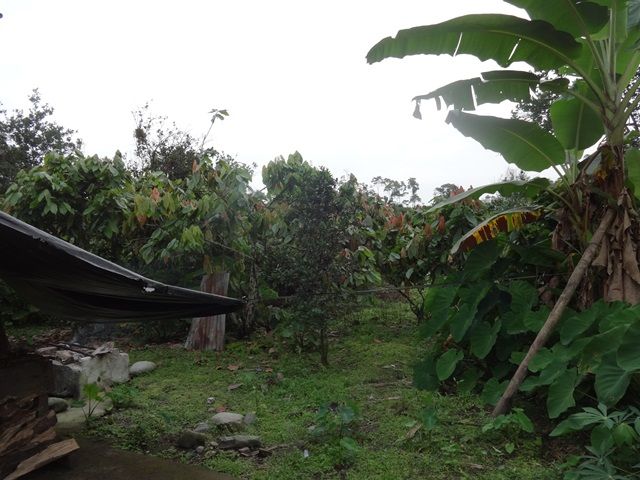 DSC06442