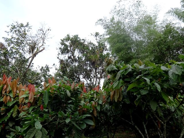DSC06449