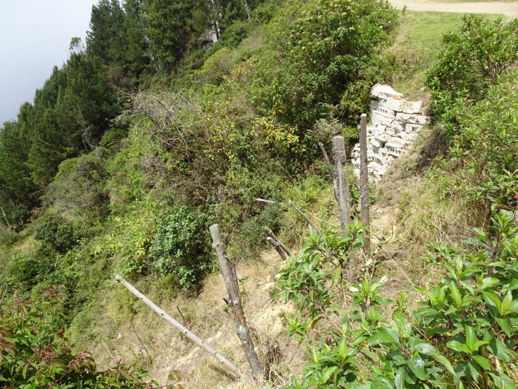 DSC06464_1024x768