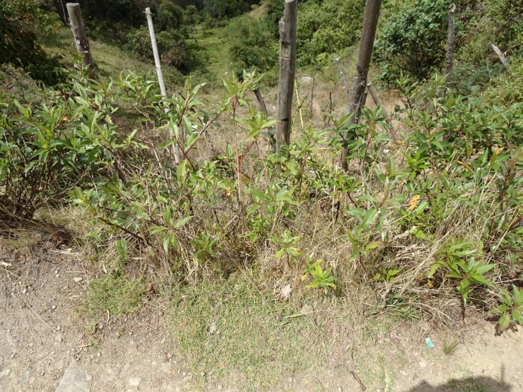 DSC06465_1024x768