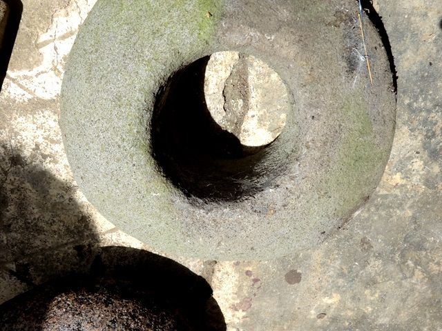 DSC06477