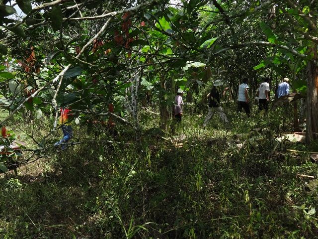 DSC06486