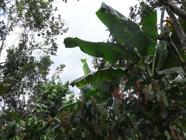 DSC06489