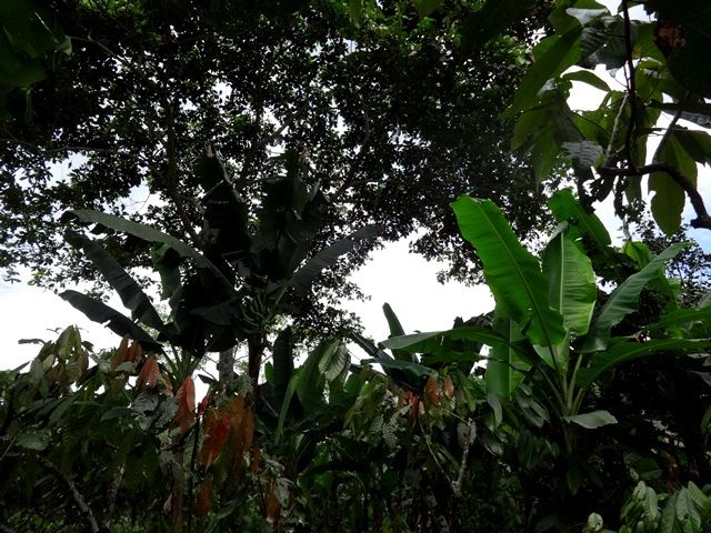 DSC06531