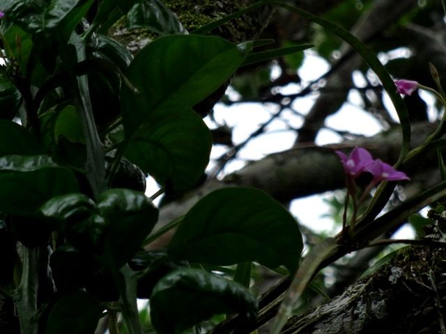 DSC06535