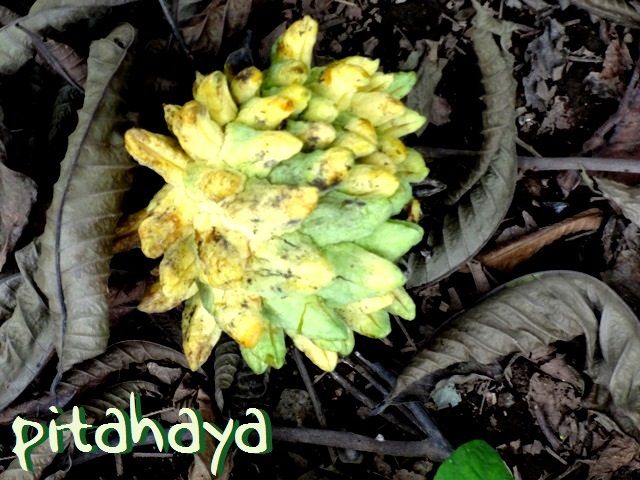 DSC06546