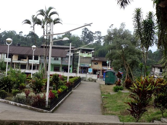 DSC06547