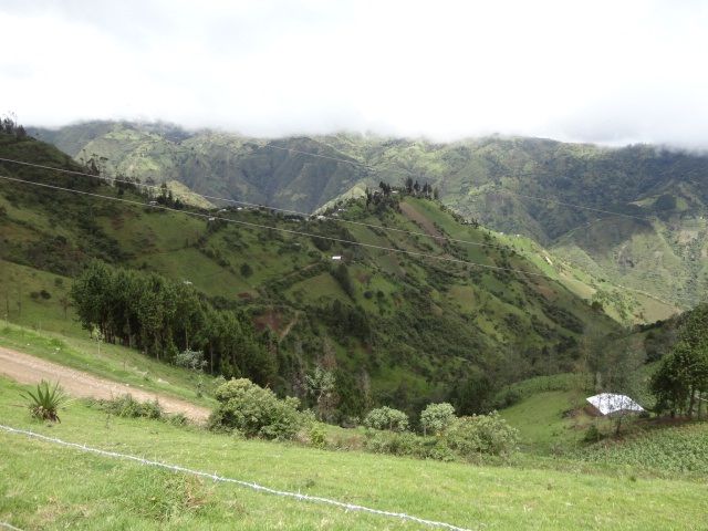 DSC06556
