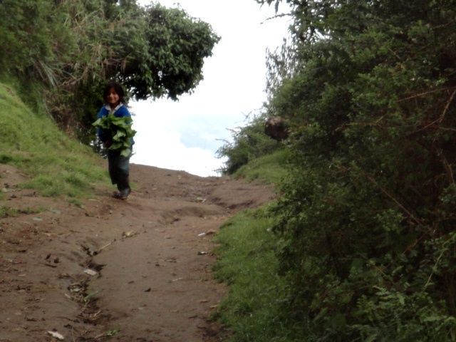 DSC06570