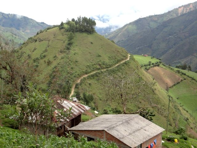 DSC06572