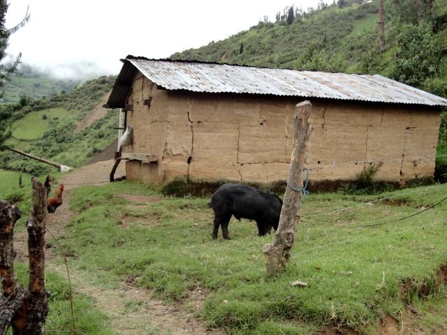 DSC06578